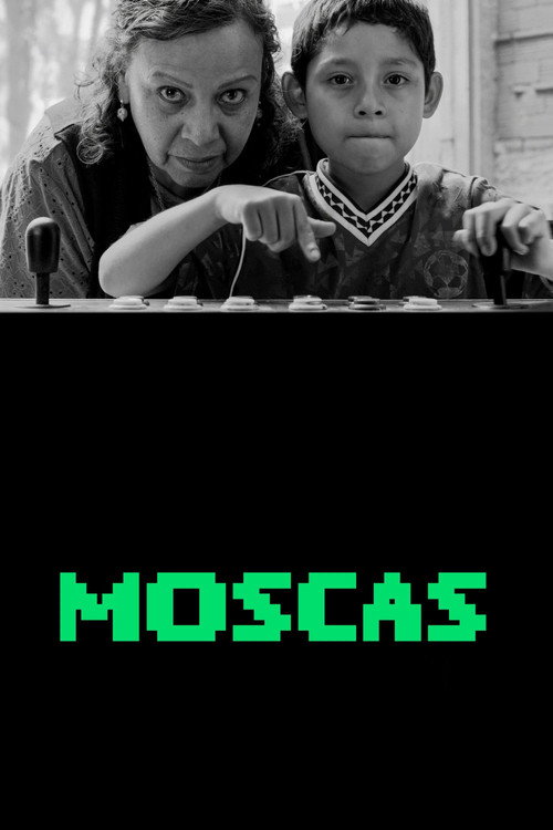 Cartel de Moscas