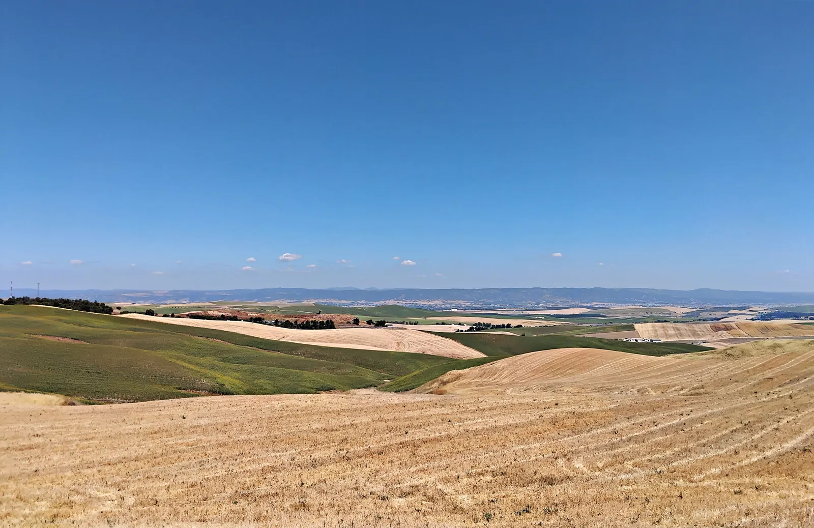 Lomas suaves de campos de cereal segados, en tonos dorados y verdes, bajo un cielo azul casi sin nubes en la campiña al sur de Córdoba.