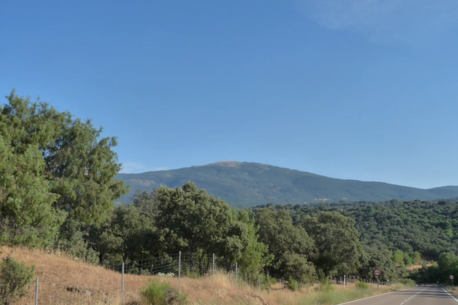 Paisaje de la Sierra de San Vicente (Toledo) visto desde la carretera CM-5006: en primer término un talud de hierba seca y encinas tras una valla metálica, al fondo la mole redondeada de la sierra cubierta de monte y, a la derecha, el asfalto de la carretera bajo un cielo despejado.