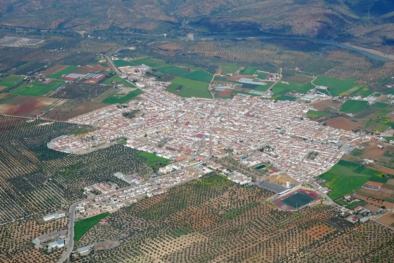 Vista aérea de un pueblo blanco de calles apretadas rodeado por completo de olivares en hileras, con campos de labor y, al fondo, el río Guadalquivir y las lomas de Sierra Morena.