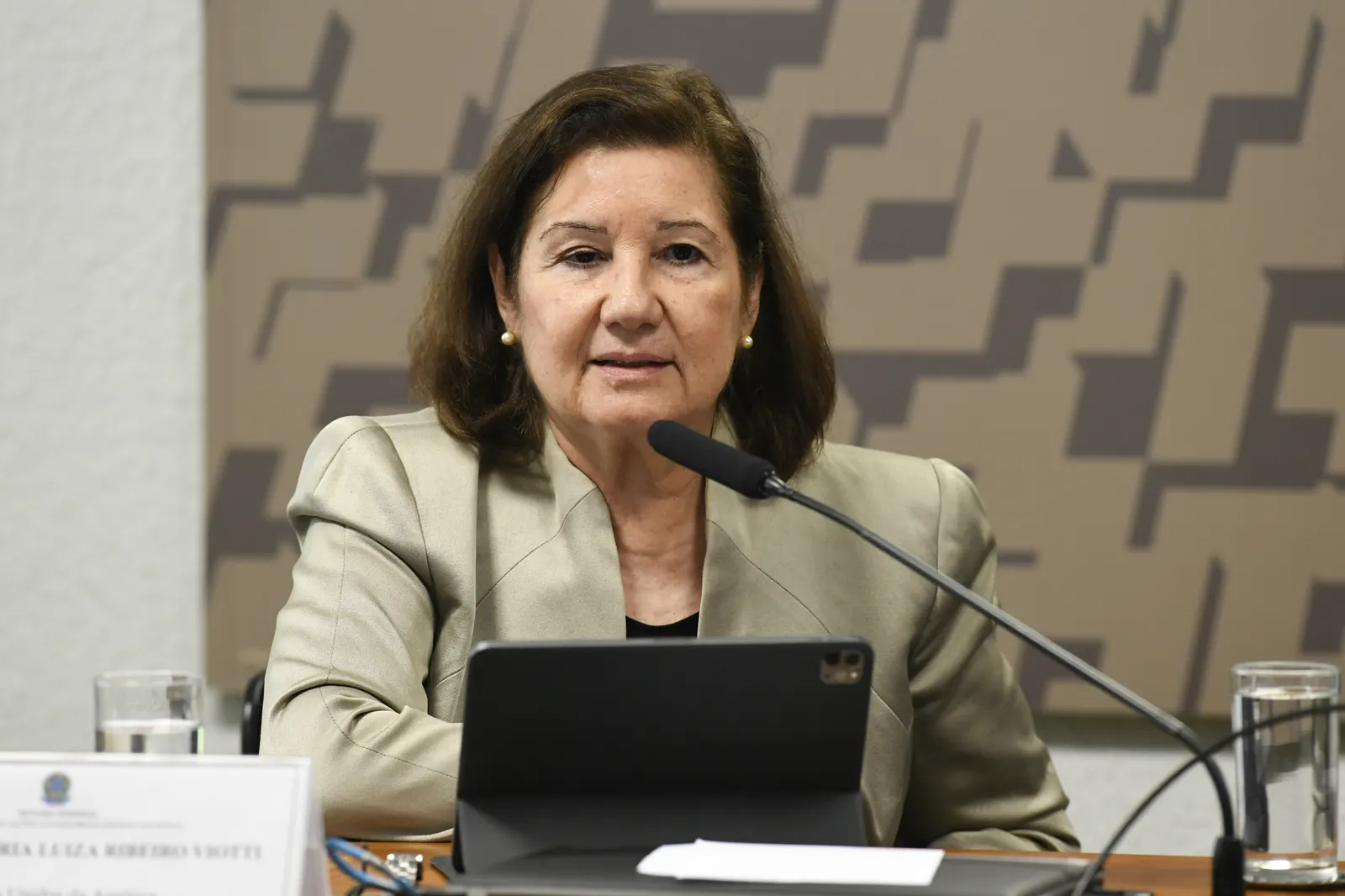 Maria Luiza Ribeiro Viotti, con chaqueta color arena, habla ante un micrófono sentada a una mesa con una tableta, un vaso de agua y un cartel con su nombre, en una sala del Senado brasileño