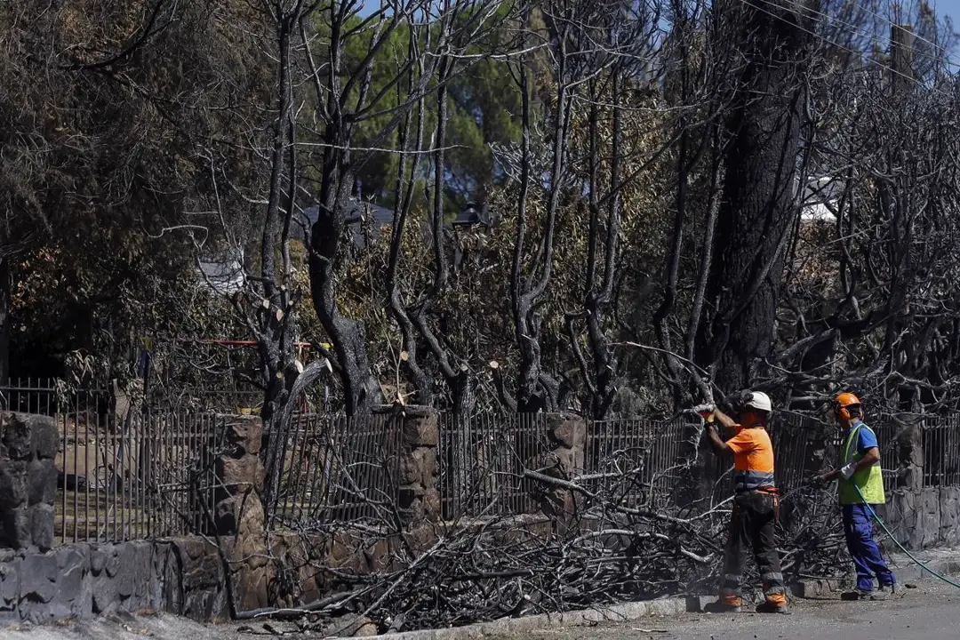Dos operarios con casco y ropa de trabajo cortan y retiran ramas de una hilera de árboles calcinados junto a la verja de piedra de una parcela, en una calle de la Sierra Oeste de Madrid.
