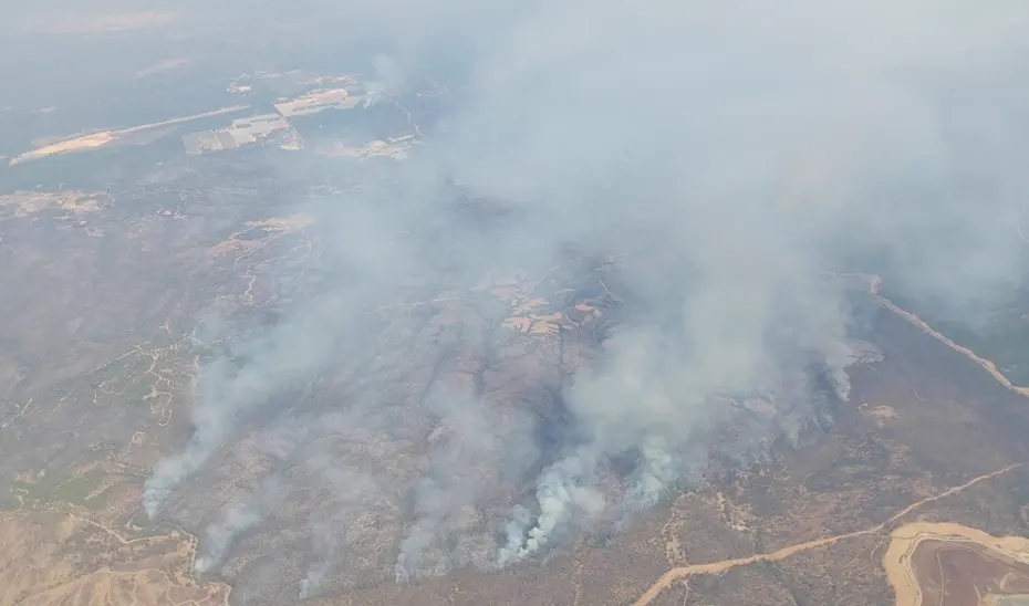 Vista aérea de una extensa mancha de monte quemado, de tonos pardos y grises, atravesada por caminos y cortafuegos, con varias columnas de humo blanco que se levantan del terreno; arriba a la izquierda se distinguen unas naves industriales.