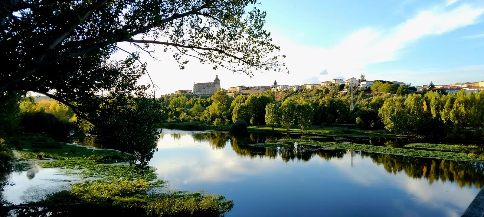 El río Alagón, ancho y en calma, con la ciudad de Coria alzada sobre la ribera al fondo y la mole de la catedral recortada contra el cielo; ramas de un árbol enmarcan la escena por la izquierda y la vegetación de la orilla se refleja en el agua.