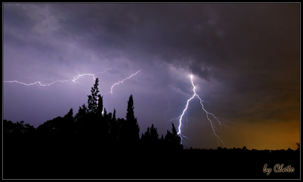 Tormenta nocturna sobre Palma de Mallorca: dos rayos ramificados cruzan un cielo de nubes violáceas que el resplandor anaranjado del aeropuerto tiñe por la derecha, con la silueta negra de pinos y cipreses recortada en primer plano.