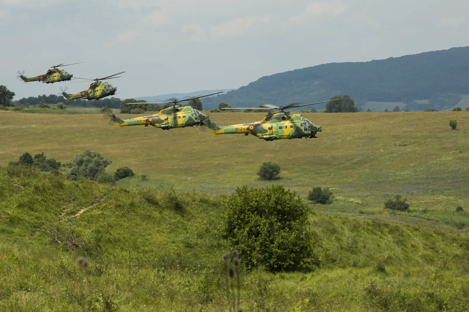 Cuatro helicópteros militares IAR-330 Puma de la Fuerza Aérea rumana, con camuflaje verde y amarillo y la escarapela rumana en el fuselaje, vuelan en formación a baja altura sobre una pradera con arbustos y colinas boscosas al fondo.