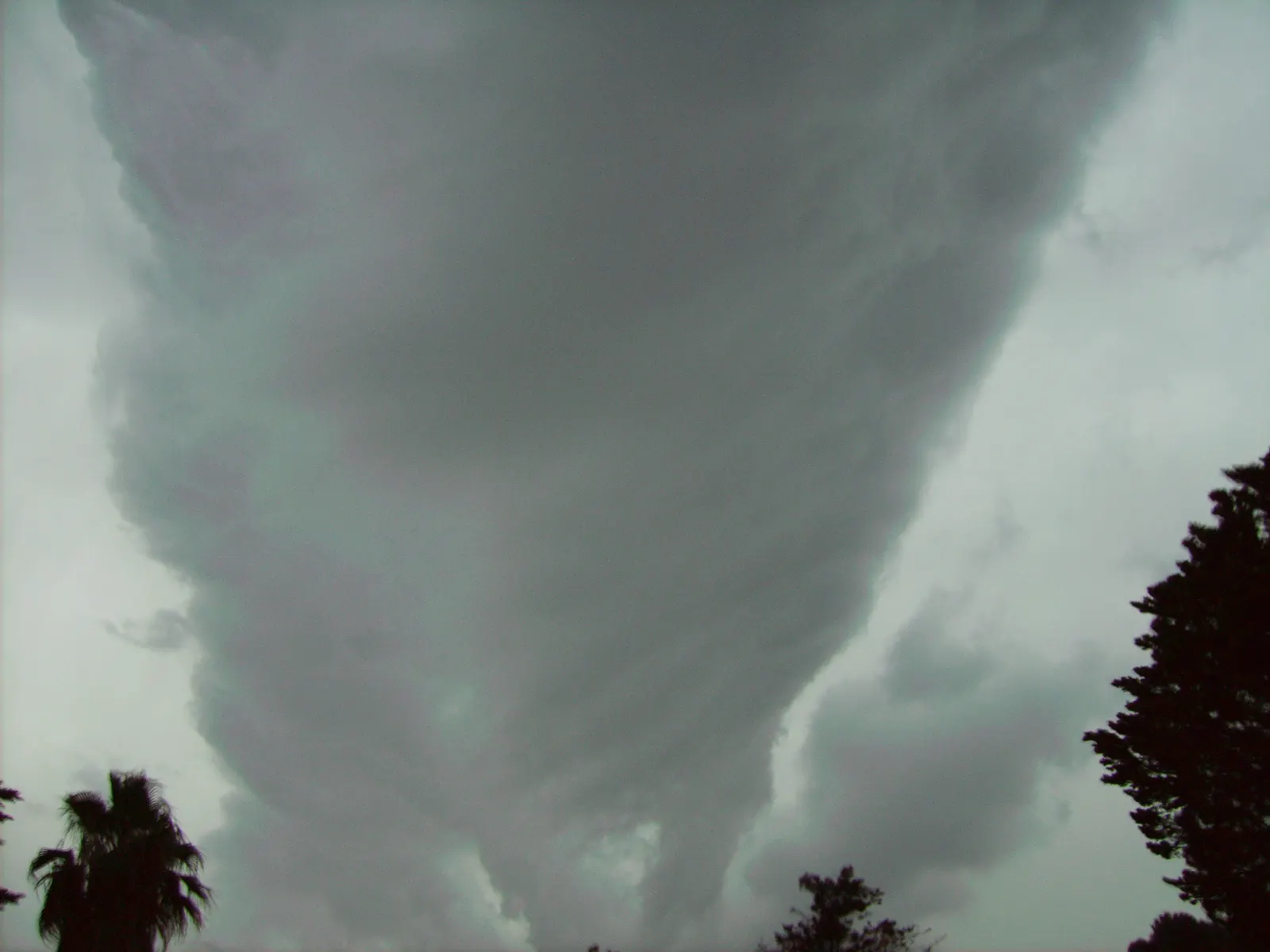 Enorme nube gris en forma de rodillo que ocupa casi todo el encuadre sobre Menorca, con los bordes deshilachados y el cielo blanquecino al fondo; abajo se recortan en negro las siluetas de una palmera y de un pino.