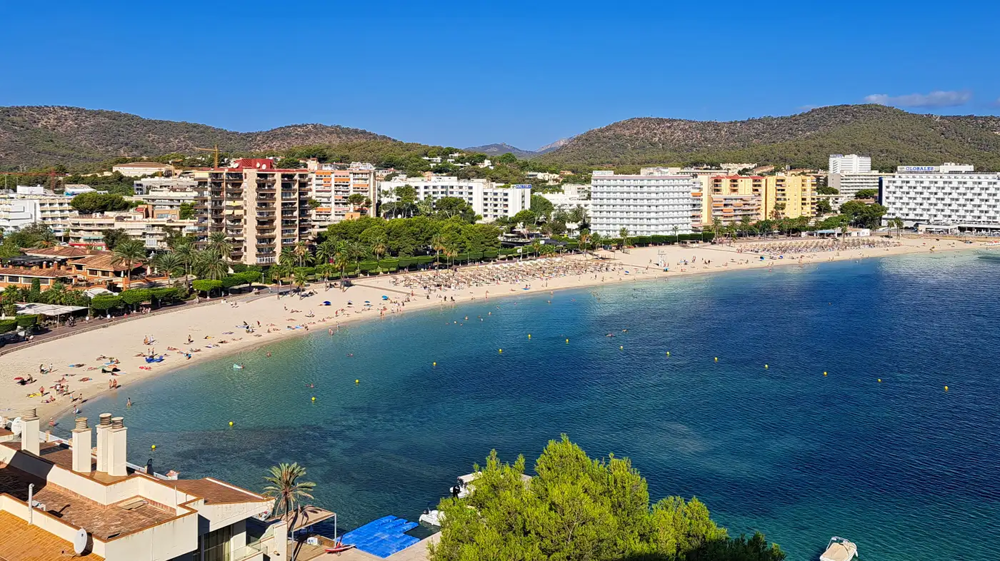 Vista elevada de la playa de Palmanova, en Calvià (Mallorca), con bañistas y filas de hamacas en la arena, bloques de hoteles y apartamentos detrás y colinas al fondo