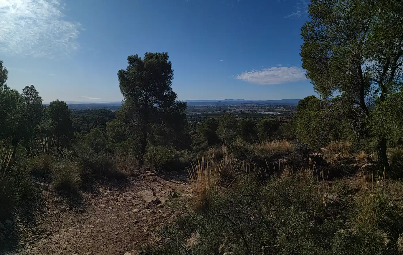 Sendero pedregoso entre pinos carrascos, matorral y hierba seca en una ladera de la Sierra Calderona, con la llanura y la sierra al fondo.
