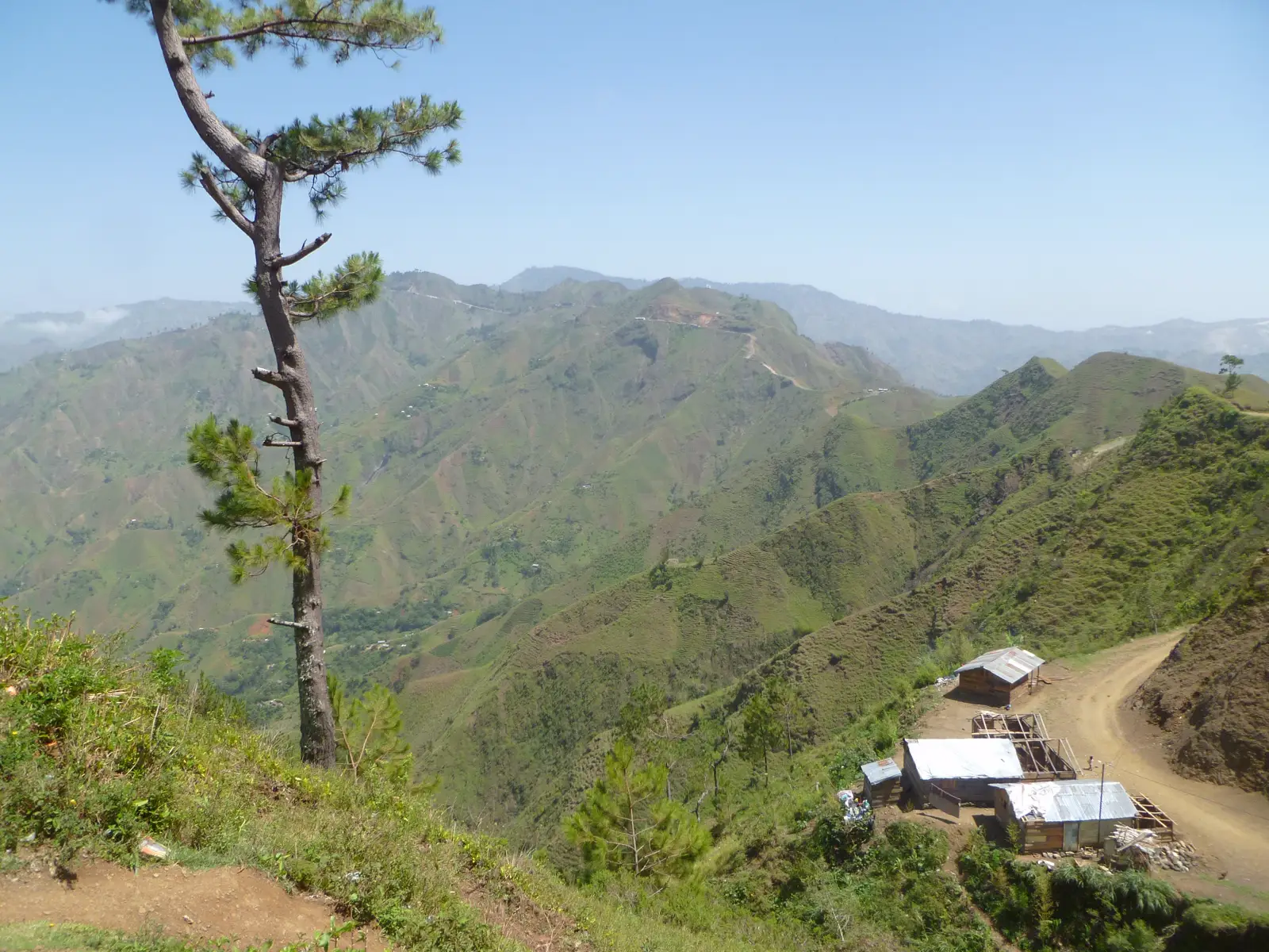 Vista de las montañas camino de Kenscoff: laderas verdes y erosionadas bajo un cielo despejado, un pino en primer plano a la izquierda y, abajo a la derecha, un puñado de casas de tejado metálico junto a una pista de tierra.