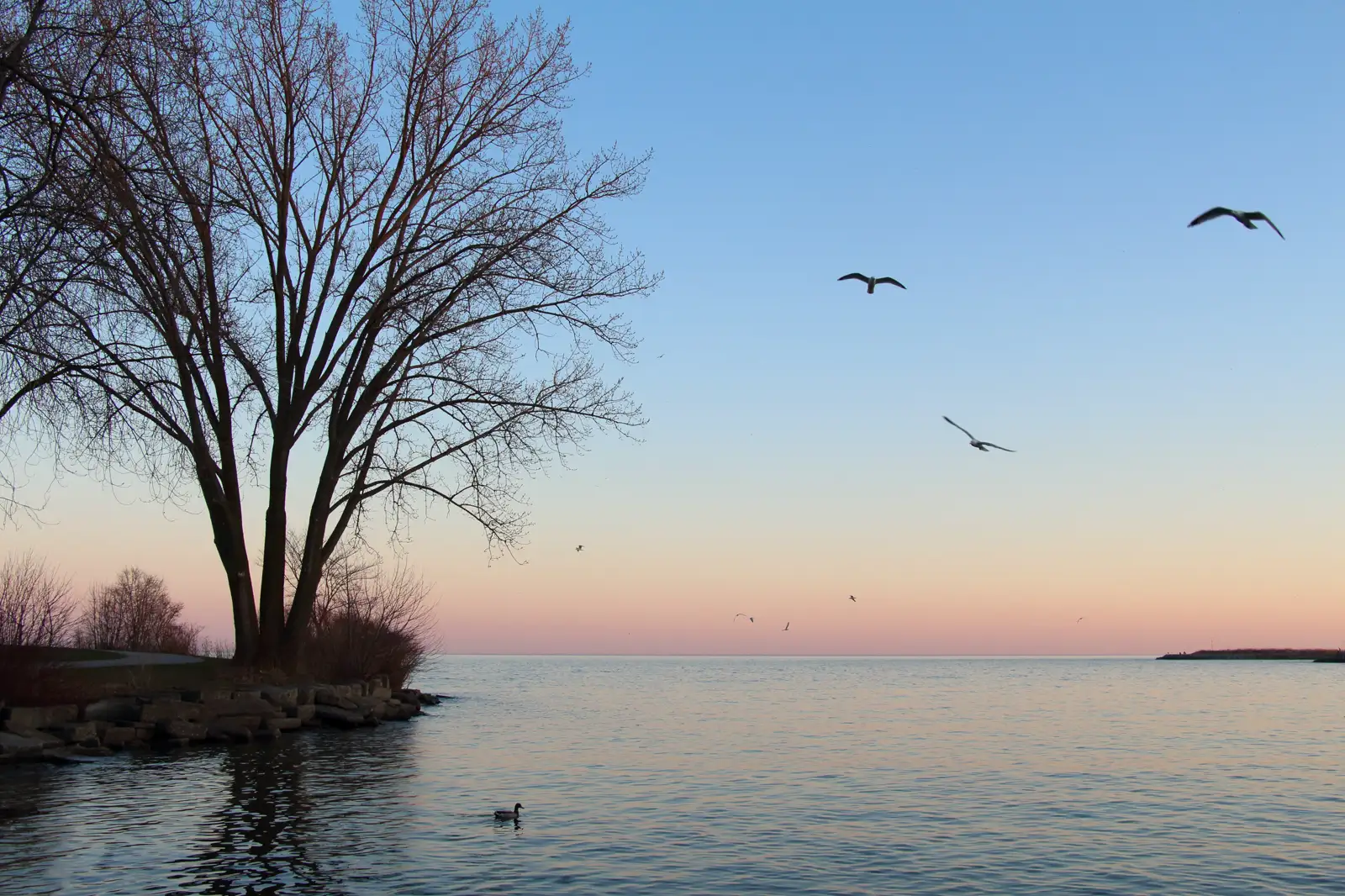 Atardecer sobre el lago Ontario visto desde la orilla, con el agua en calma y el cielo anaranjado y azul reflejado en la superficie.