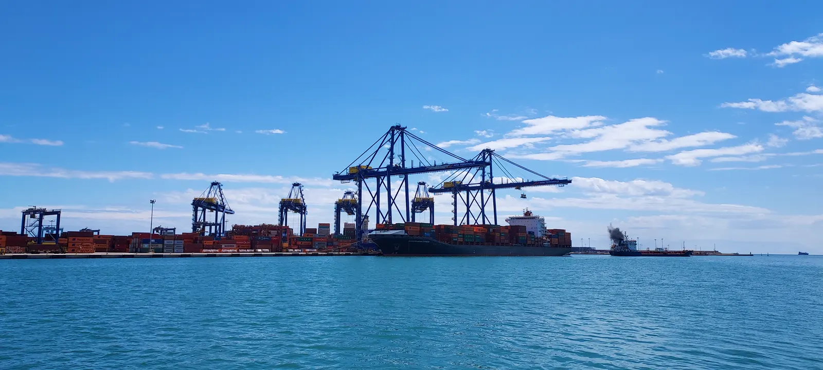 Buque portacontenedores atracado en un muelle, con cuatro grúas pórtico azules cargándolo y filas de contenedores apilados en el muelle; el mar en primer plano y cielo despejado.