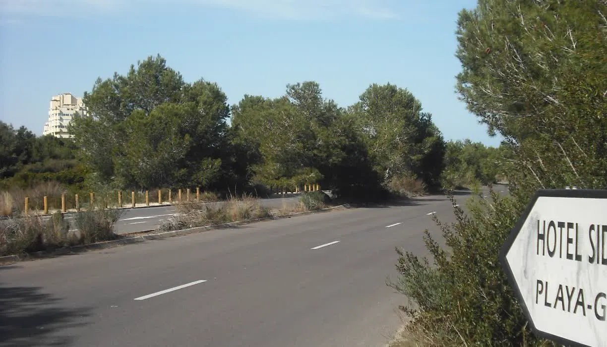 Carretera asfaltada que atraviesa la Devesa de El Saler entre pinos y matorral bajo un cielo azul. A la izquierda, tras la pinada, asoma una torre blanca de apartamentos; a la derecha, en primer término, una señal de dirección hacia el hotel Sidi y la playa.