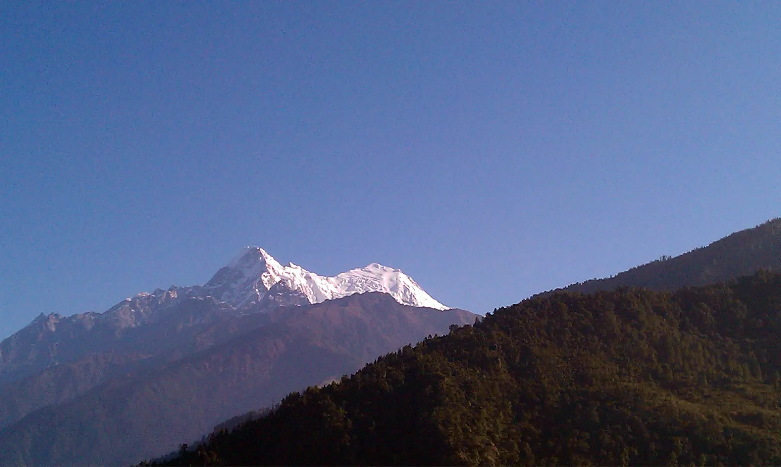 Cumbre nevada del Langtang Lirung iluminada por el sol de la mañana, tras una ladera boscosa en sombra y bajo un cielo azul despejado