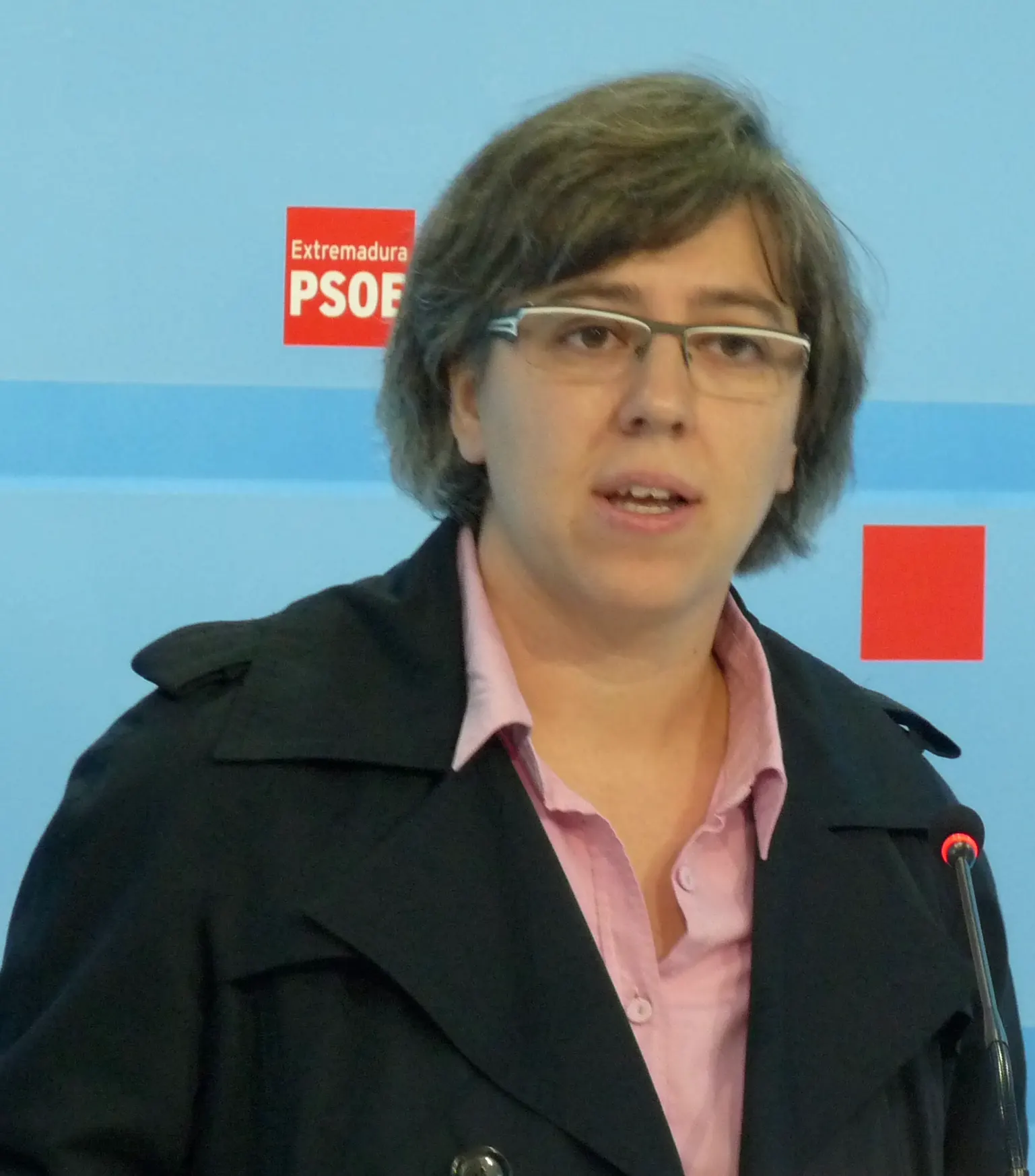 Leire Iglesias, con melena corta y gafas, habla ante un micrófono delante de un panel azul con el logotipo del PSOE de Extremadura.