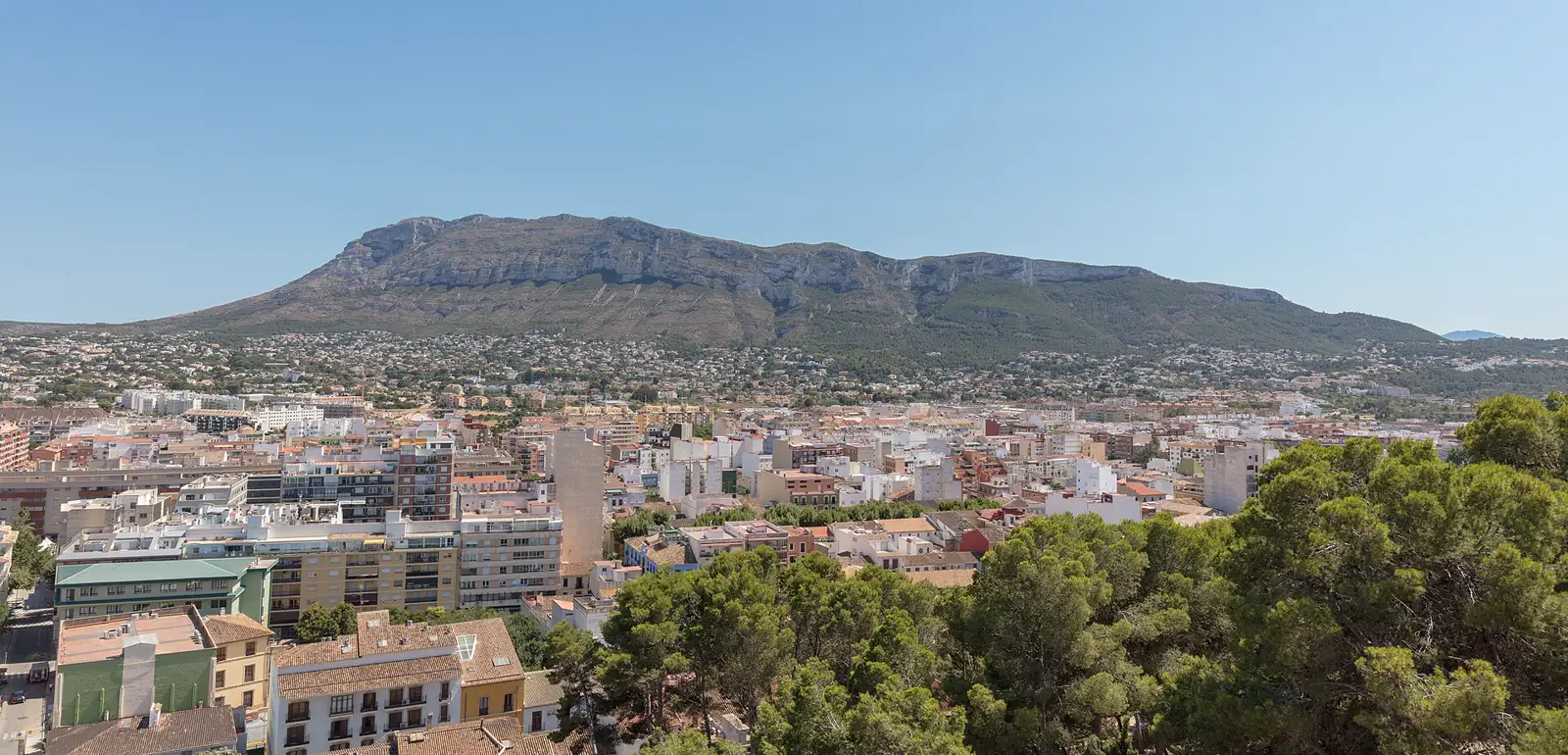 Vista panorámica de Dénia desde su castillo: en primer término, pinos y tejados del casco antiguo; detrás, un caserío blanco y ocre de edificios bajos que se extiende hasta la ladera; al fondo, la mole alargada del macizo del Montgó, de roca clara y laderas de matorral, bajo un cielo azul sin una sola nube.