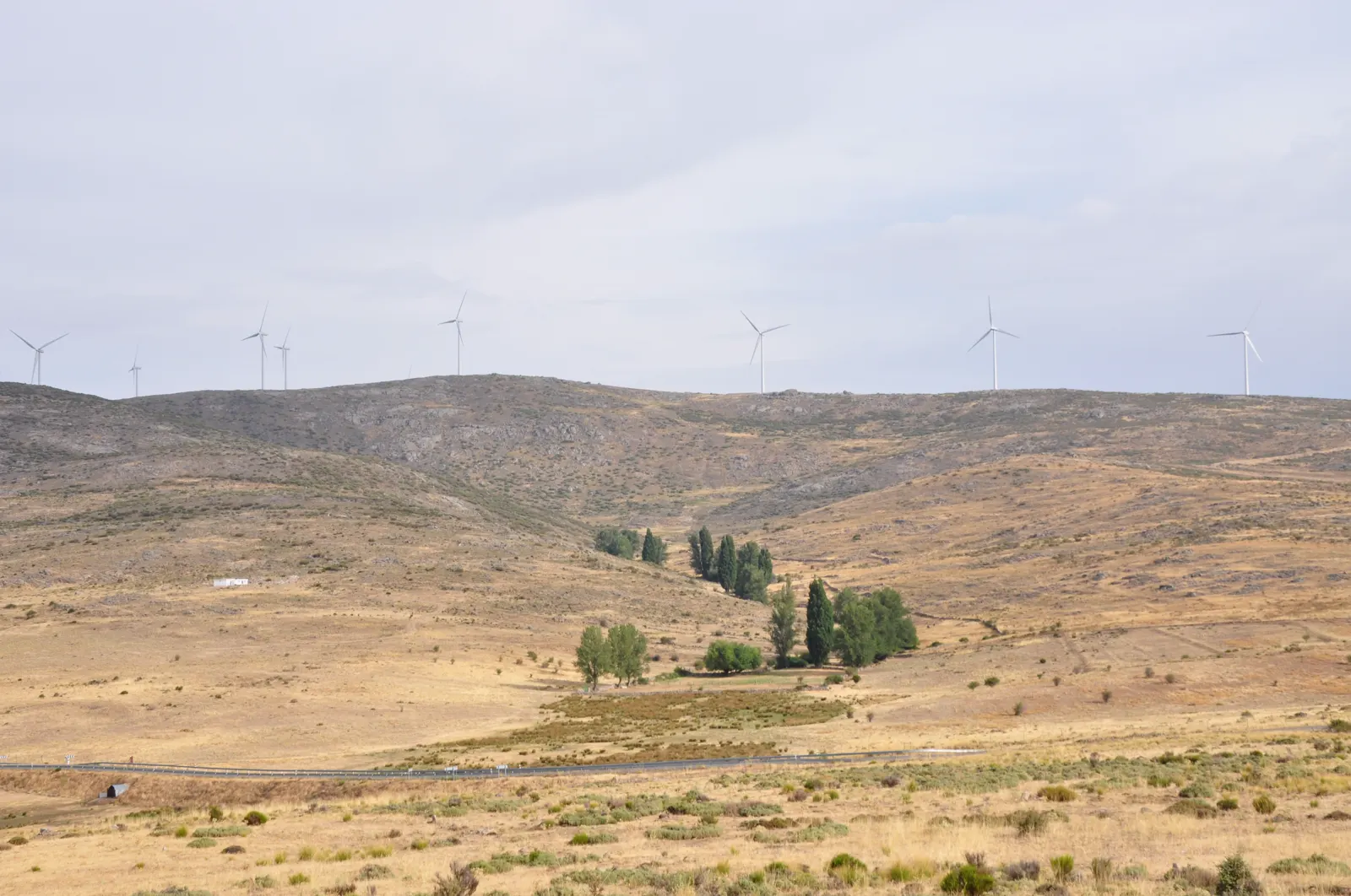 Ladera de pastos secos y matorral con una hilera de aerogeneradores blancos recortados sobre la línea de la loma, un grupo de árboles junto a un arroyo en el centro y una carretera cruzando el primer plano bajo un cielo encapotado.