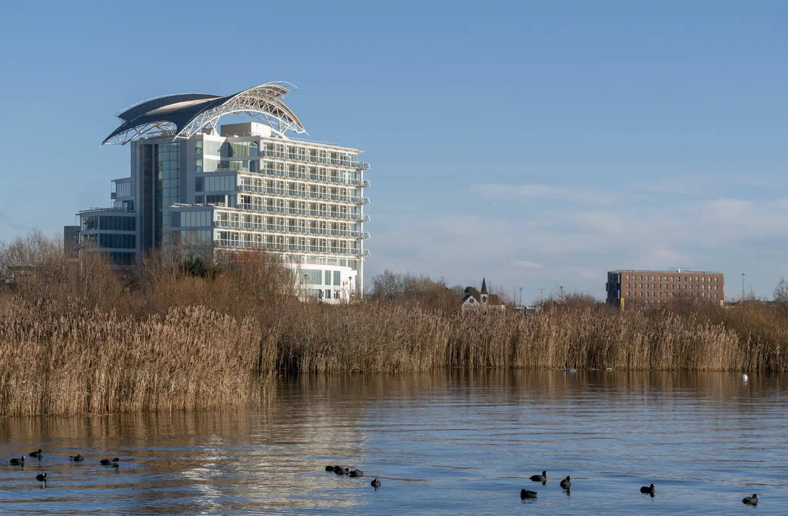 Edificio acristalado y curvo del hotel St David's junto al agua de la bahía de Cardiff, con fochas nadando en primer plano